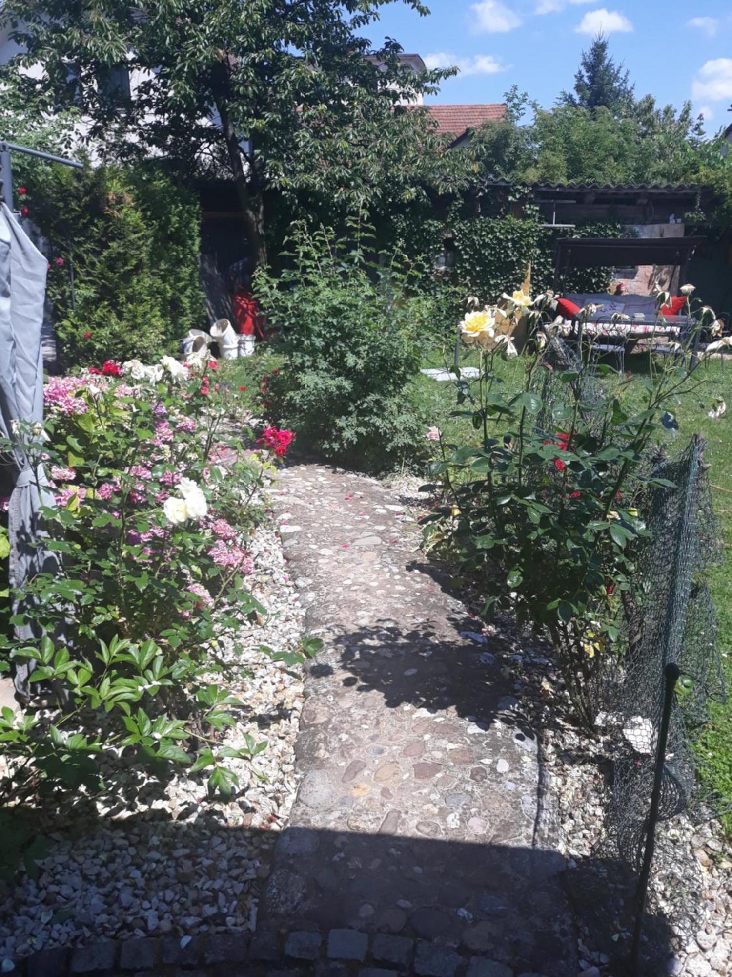 Rose Room 40M2 With Terrace 25M2 In Greeny Area For 4 Person ลูบลิยานา ภายนอก รูปภาพ
